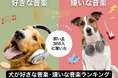 【飼い主366人に調査】犬が好きな音楽・嫌いな音楽ランキング!クラシックが堂々の1位に!