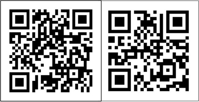 公式Instagram／公式twitter