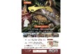 あなたの一票で、日本一の素材が決まる。全国の“地域の食材・素材”が熊本に集結する「日本の素材甲子園ichi 熊本大会」を６月27日・28日に開催