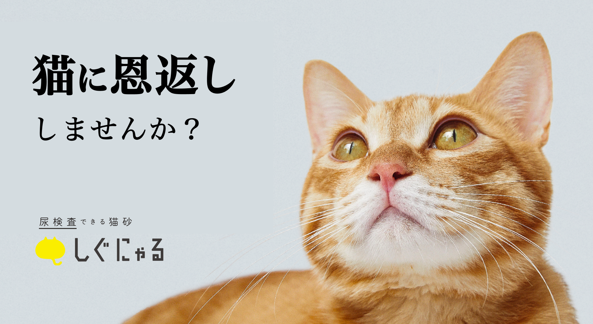 気質アップ】 ねこにゃん様専用 revecap.com