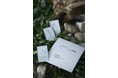 🌿植物の知恵で、肌と心をととのえる
