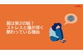 腸内環境の改善は検査だけでなく「動画」でも！腸活をもっと詳しく、体系的に学べる、腸活ムービーのLINE販売を開始しました