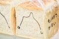 日本最北端のベーカリーが、世界最高峰のデザイン賞で二冠達成。「北のはしベーカリー」のロゴデザインが、『D&AD Awards 2025』で銅賞相当のWood Pencilを受賞