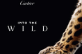 【カルティエ】 パンテールの歴史とサヴォアフェールを体感する没入型ポップアップ「INTO THE WILD」 を10/22~開催|銀座にて