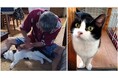 【静岡・焼津】“もう一度、猫と暮らしたい”を叶える。高齢者世帯と「訳あり猫」を繋ぎ、保証人なしでも譲渡可能に。