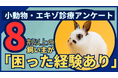 小動物・エキゾチックアニマルの動物病院受診実態調査:飼い主の84.7%が「困った経験あり」、専門医療体制の地域格差が浮き彫りに
