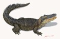 平山郁夫シルクロード美術館(八ヶ岳南麓)夏の企画のご案内