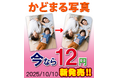 “キャンペーン延長「角丸写真Lサイズ：12円」！やさしく、かわいく、安心”