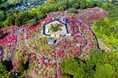 今年の春は笠間へ！花旅「あたご山桜まつり」と「笠間つつじまつり」