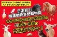 日本初の保護動物専門動物園「タケガワふれあい動物園」が、移転・継続に向けてクラウドファンディングに挑戦!