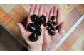 一年で今だけ。青森・十三湖の採れたて特大しじみ、冷凍せずそのまま直送！名物「しじみバター」が期間限定で超特大版に｜東北居酒屋 奥羽の宴（秋葉原）