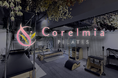 【秋葉原&松戸北小金】Corelmia Pilatesがスタジオ増設につきパーソナルマシンピラティスインストラクターを募集!