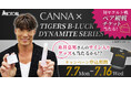 CANNA×阪神で夏を盛り上げろ!TIGERS B-LUCK DYNAMITE SERIESキャンペーン