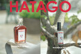 HATAGO、自由が丘を表す“自由な街の香り”を制作　「LIVING HOUSE / SEMPRE edit」と初コラボレーション「HATAGO JIYUGAOKA」を発売