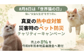 8月8日は「世界猫の日」猫たちに"安全な生活"を　　『真夏の熱中症対策』×『災害時のペット防災』チャリティキャンペーンを開始　売上の8%を令和8年熊本地震義援金へ