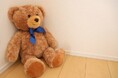 子どもの成長とともに増えるぬいぐるみ整理に対応。買いクル成城店、出張買取キャンペーンを5月27日より開始。