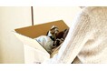 お盆前の実家整理ニーズに対応。買いクル吹田店、「片付け・整理応援キャンペーン」を7月28日より開始