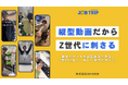 【採用活動も縦型動画の時代へ?!】 Z世代に特化した縦型動画の求人プラットフォーム「ジョブトリップ」利用受付開始