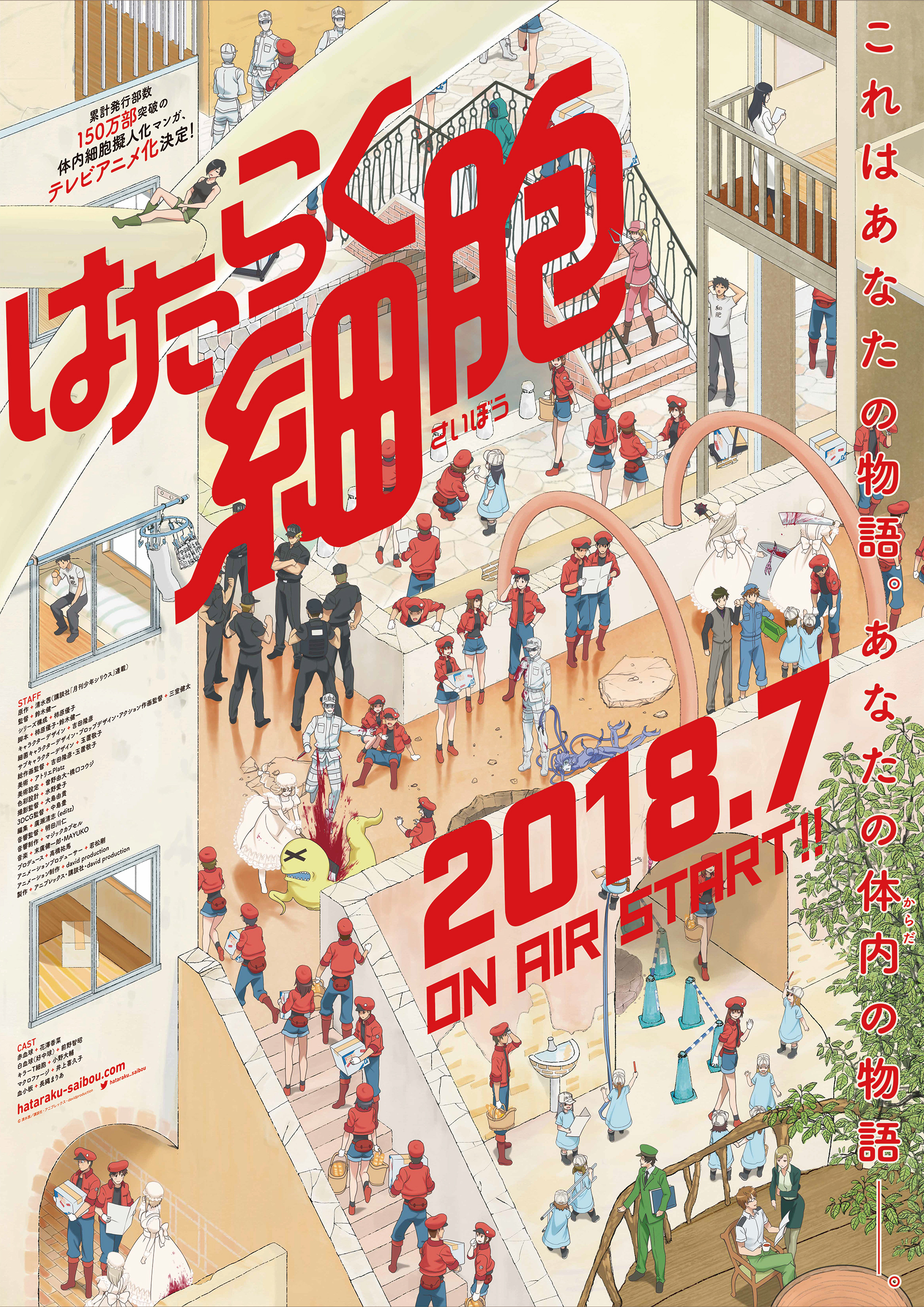 7月放送テレビアニメ はたらく細胞 放送情報 追加キャスト 主題歌情報を解禁 株式会社アニプレックスのプレスリリース