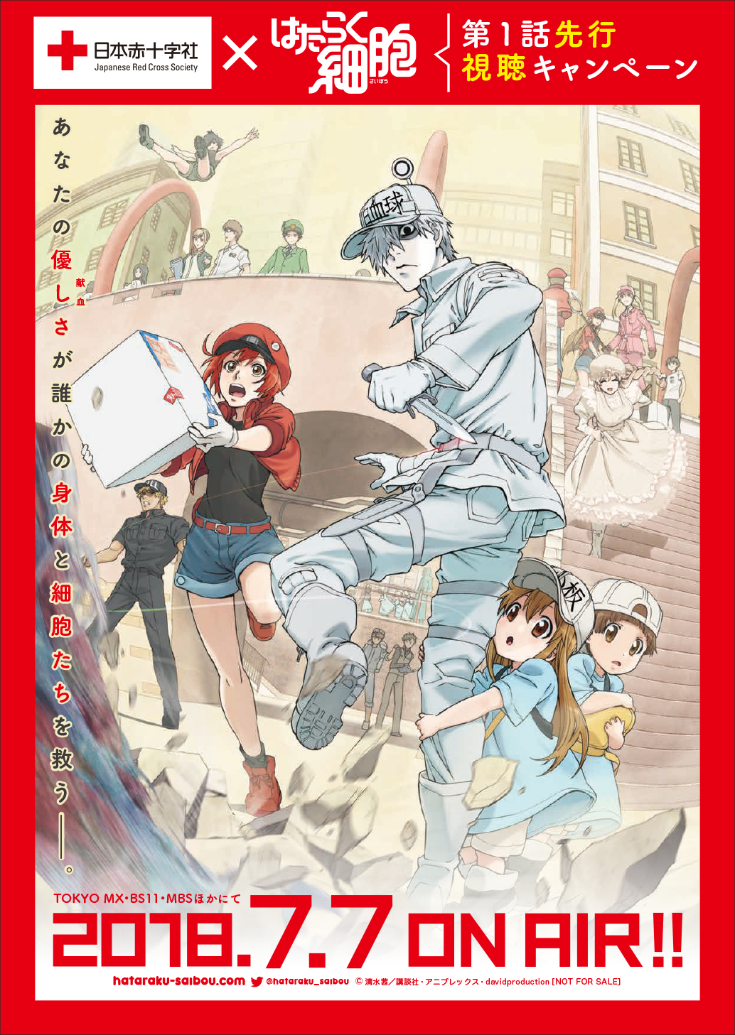 日本赤十字社 テレビアニメ はたらく細胞 第1話先行視聴キャンペーン実施開始 株式会社アニプレックスのプレスリリース