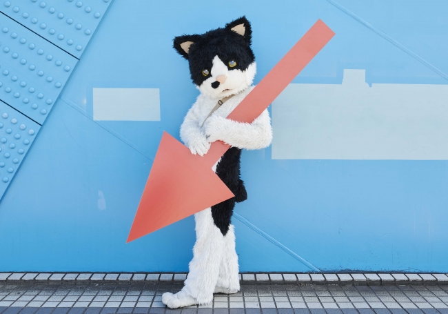 アニメ ねこねこ日本史 第4期後半エンディング テーマのアーティストがむぎ 猫 に決定 オープニングテーマは前回に引き続きelfin が担当 株式会社アニプレックスのプレスリリース