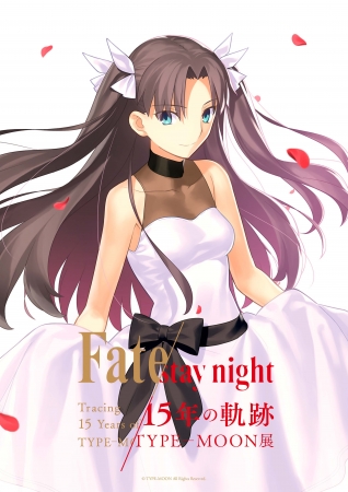 Type Moon展 Fate Stay Night 15年の軌跡 武内崇描き下ろしの最新ビジュアルを3種公開 インディー