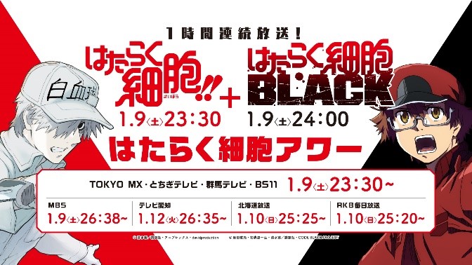 はたらく細胞 はたらく細胞black 合同イベント 一緒にはたらく祭典 開催決定 株式会社アニプレックスのプレスリリース