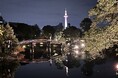 夜の京都が、ほんまの京都。