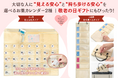 「1ヶ月分見える化」と「持ち運べる1週間」お薬カレンダー2製品が新登場｜敬老の日ギフトにも最適！