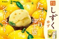秋冬でも、ひとくちの清涼を。国産ゆず香る、なめらか食感の秋冬限定シャーベット「しずく ゆず マルチ」を2025年9月15日(月)に発売!