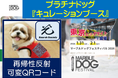 南海トラフ大地震などの津波対策、高齢犬に「再帰性反射可変QRコード」を装着して安心！