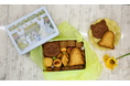 【期間限定パッケージ】猫たちの夏旅行をテーマにした日本橋三越本店×NEKO LABコラボクッキー缶 第三弾