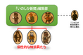 有害鳥獣と呼ばれている野生動物たちによる地域ニュースメディア『いのしか新聞』創刊