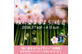 駅が まちが　桜色に染まる「桜に染まるまち、佐倉2026」キャンペーンを実施します！