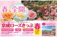 京成グループ×東葉高速鉄道×東洋バス「京成ローズきっぷ 春」を発売します！