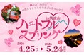 ≪筑波観光鉄道≫恋とぬくもりをテーマとした特別企画「ハートフル・スプリングin筑波山」を開催いたします！