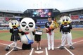 「第２５回 京成グループ花火ナイター」開催