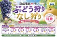 地域の味覚と夏の思い出を電車で楽しむ「京成電鉄で行く ぶどう狩り・なし狩り」を開催します！