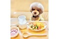 91％の飼い主が愛犬の熱中症を心配。猛暑の夏に、わんこのための夏バテ対策メニューを８月３日（月）より提供開始