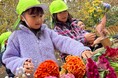 子どもたちと花の命をつなぐ─ロスフラワー×花育「もうひと花」プロジェクトを開催