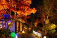 【光の庭園ディナー】日本庭園が光に包まれる冬季イルミネーション開催。『オーベルジュ・ド・マノワール吉庭』（千葉・佐原）にて、極上フレンチと共に楽しむ特別な夜を