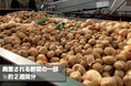 【がまんしない食卓を目指して】ふぞろい野菜を救う、月額980円から始める野菜のサブスク『GREENデリバリー』がクラウドファンディングを開始。