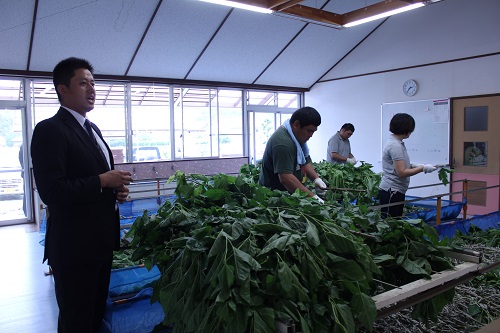 パーソルサンクスが富岡市で障がい者による養蚕事業 養蚕事業所 とみおか繭工房 の開所式を開催 パーソルhdのプレスリリース