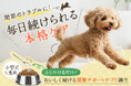 後悔のない選択を。小型犬専用・本気の関節サポートサプリ『パインフォース』CAMPFIREで先行販売開始!