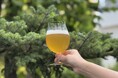 間伐材を活かしたアップサイクルビール『Forest Echo IPA』