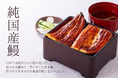 【純国産鰻】うな丼が半額1,100円・白焼串が200円でご提供！1/31(土)～2/5(木)限定。純国産鰻の秘密に迫る！メディア限定試食会は1/27(火)開催、特別ゲスト登場！＜鰻のやどき上井草店＞