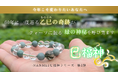 60年に一度の乙巳の奇跡【巳福神】|10/27の「己巳の日」に先駆けMakuakeプロジェクトを始動!