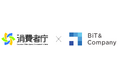 海外の生成AI規制の“今”を解説──BiT&Company調査報告書が消費者庁より公開