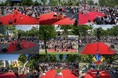 FREEステージ出演者&プログラム発表!『大道芸博2025〜NAGOYA stage〜』まもなく開催‼︎ @名古屋オアシス21