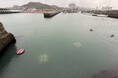 海がよみがえる、循環のはじまり。鴨川フィッシャリーナに「生きたブロック」を設置した日。